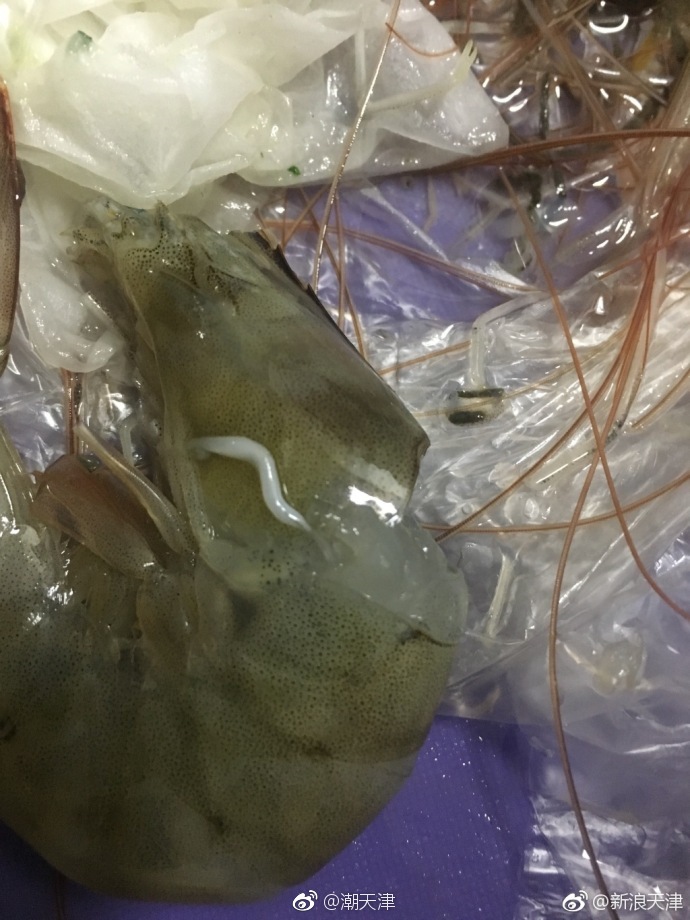 天津网友剥虾扯出的"白线"是寄生虫