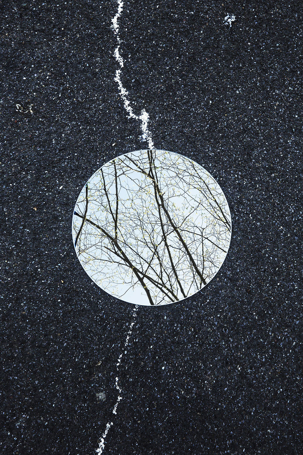 镜面反射出的双重自然bysebastianmagnani