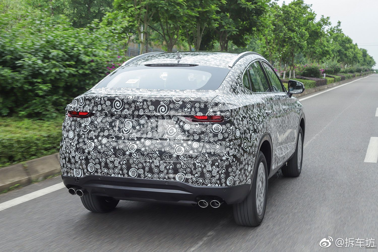 近日网络热传一辆重度伪装车组图