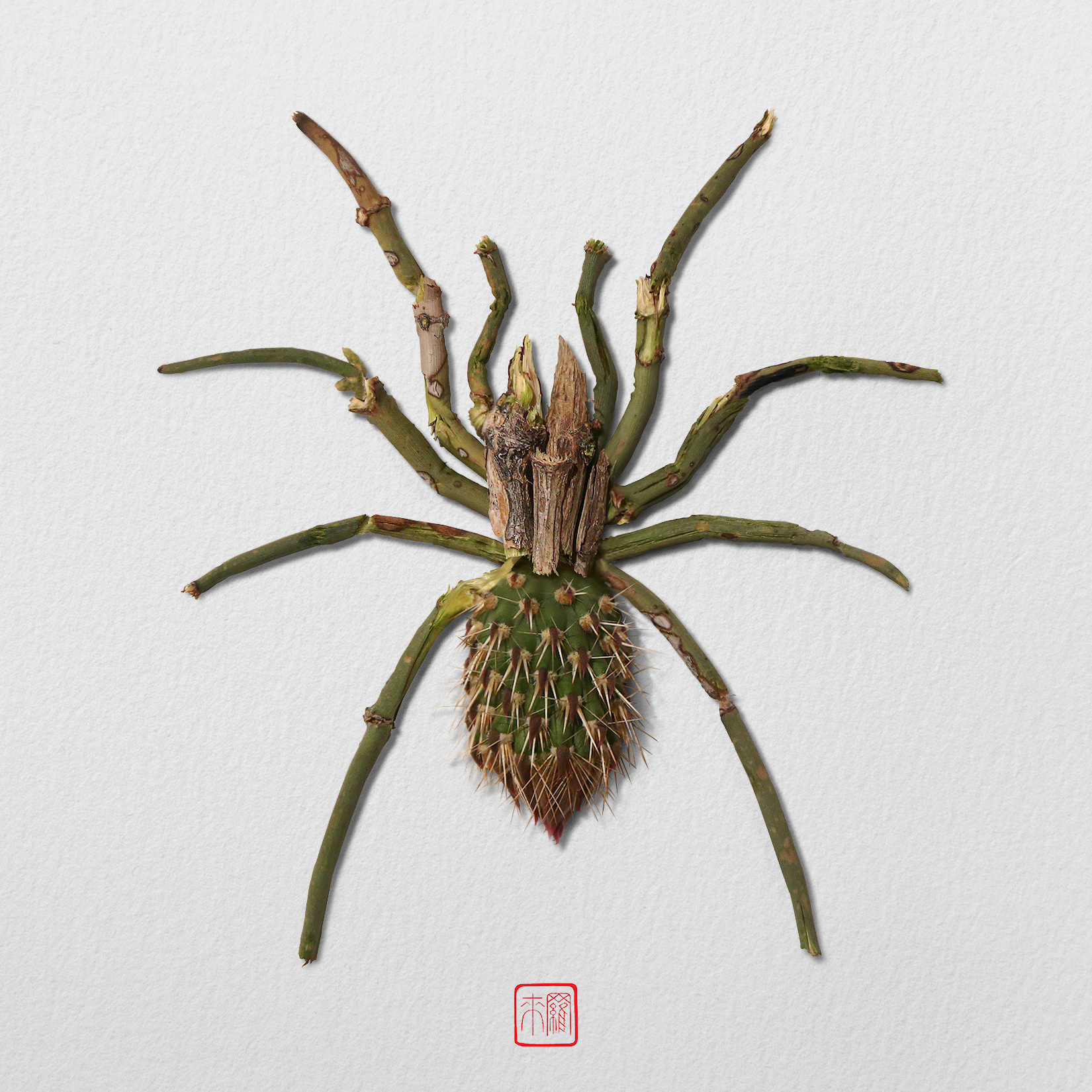 艺术家raku inoue用树枝,叶子等介质设计的昆虫