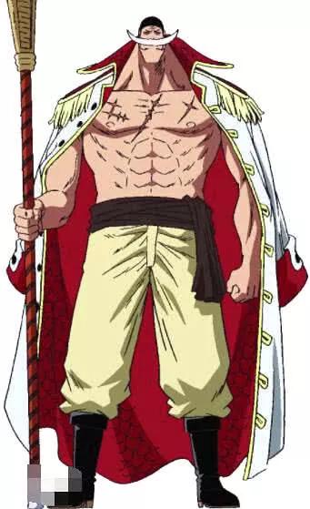 海贼王:令人诧异的夫妻档,白胡子最萌身高差,他却跨物种结合!