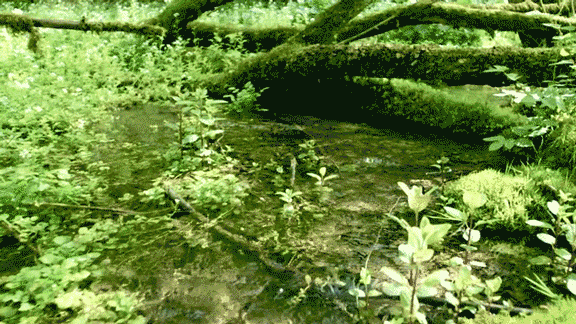 南京4个上榜|绿色长廊|紫金山|景区_新浪新闻