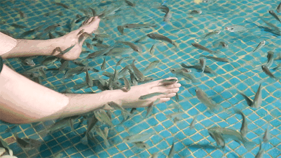 鱼疗你可能想不到的健康隐患