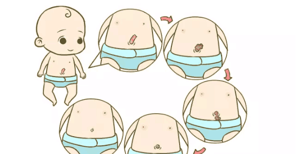 从刚出生被剪掉脐带,剩下的肚脐部分是怎样变成肚脐眼的呢?