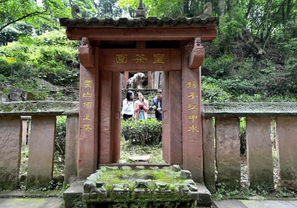 品味一杯蒙顶甘露看不一样的世界杯