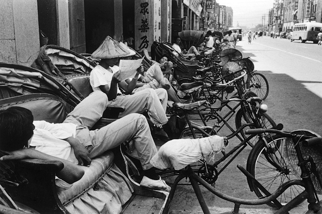 老照片 | 台湾,1957年.黄金树