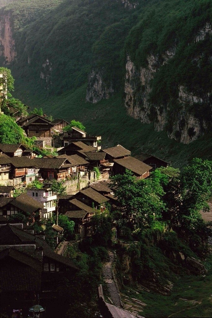 择幽山静地,筑茅庐栖身|乔岳|霁月光风|竹黄_新浪新闻