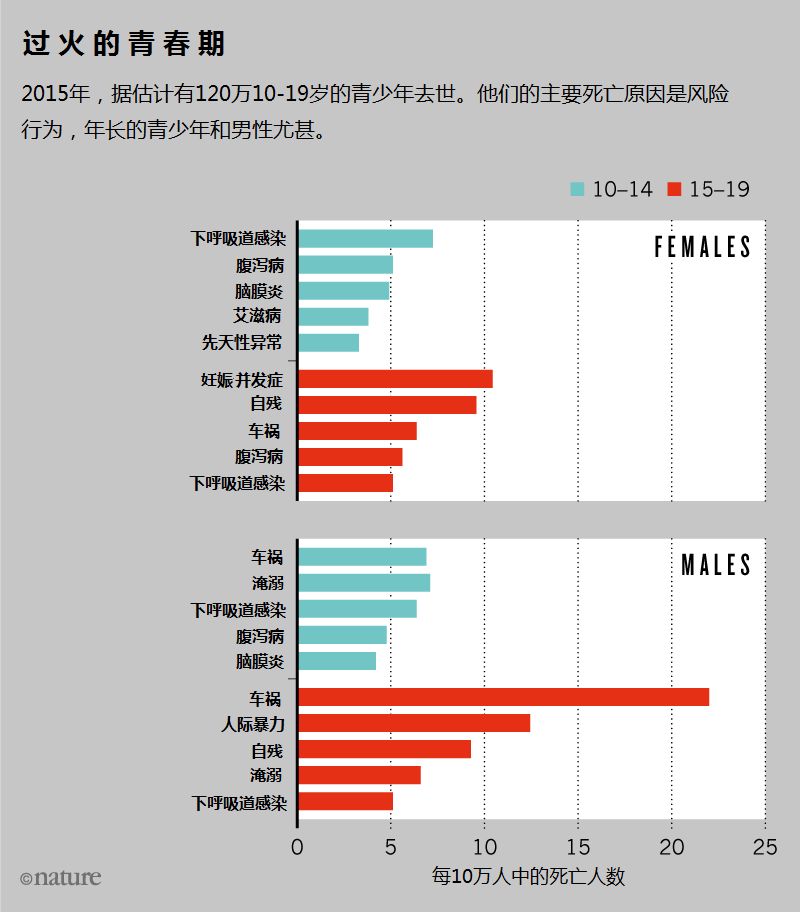 全世界15-19歲青少年的死亡率比10-14歲的孩子高35%.