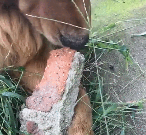 477_441gif 动态图 动图