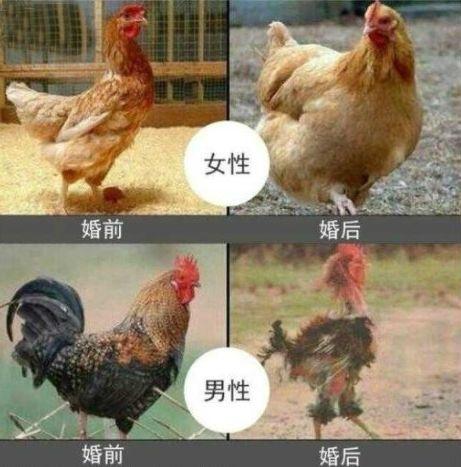 女性婚前婚后的区别:小公主变成老妈子!扎心了!