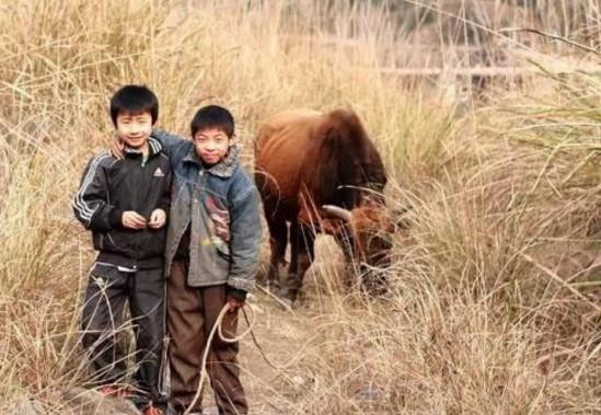 在农村,有些亲兄弟关系淡漠,为啥?