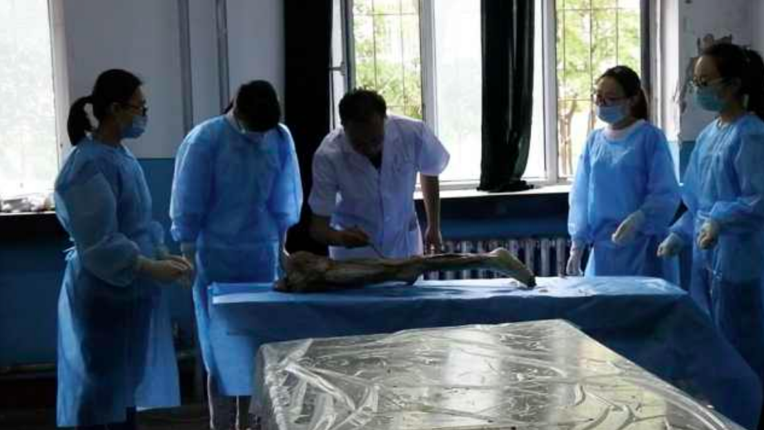 医学院女生上解剖课,吓到不敢吃肉