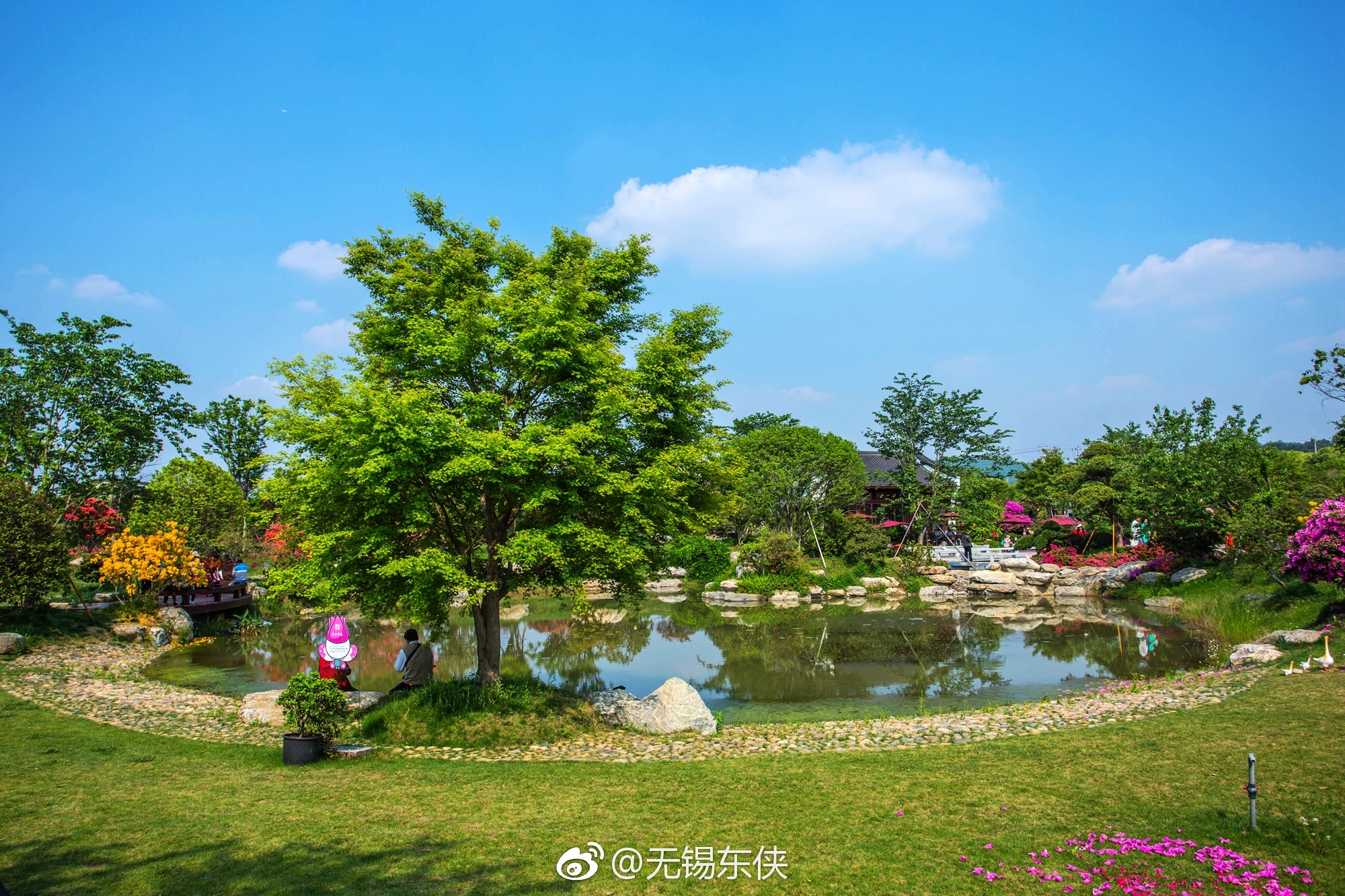 无锡滨湖九龙湾花彩小镇首届花朝节_新浪看点