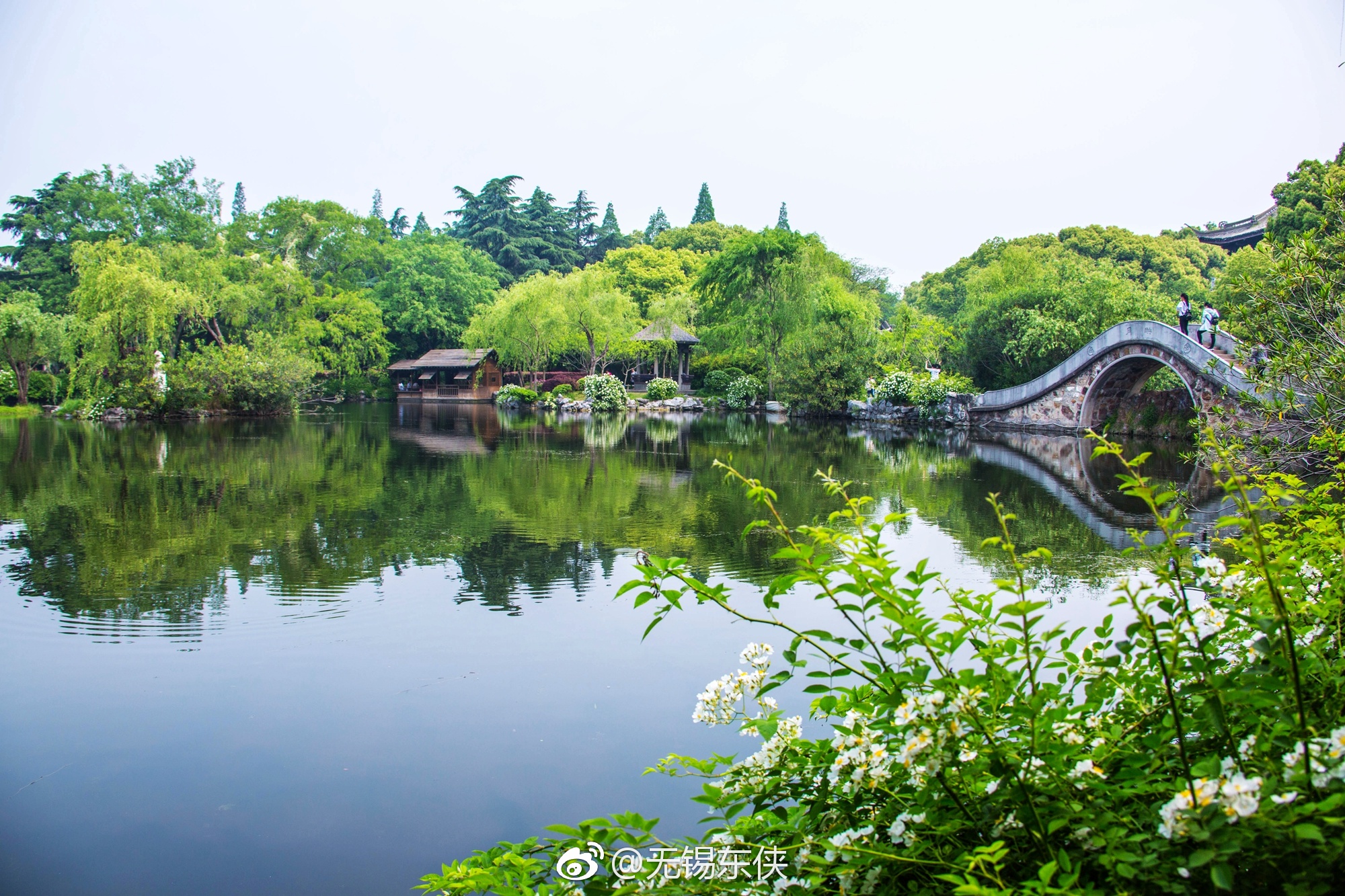 五一劳动节我就安逸的在无锡蠡园沿着蠡湖的堤岸