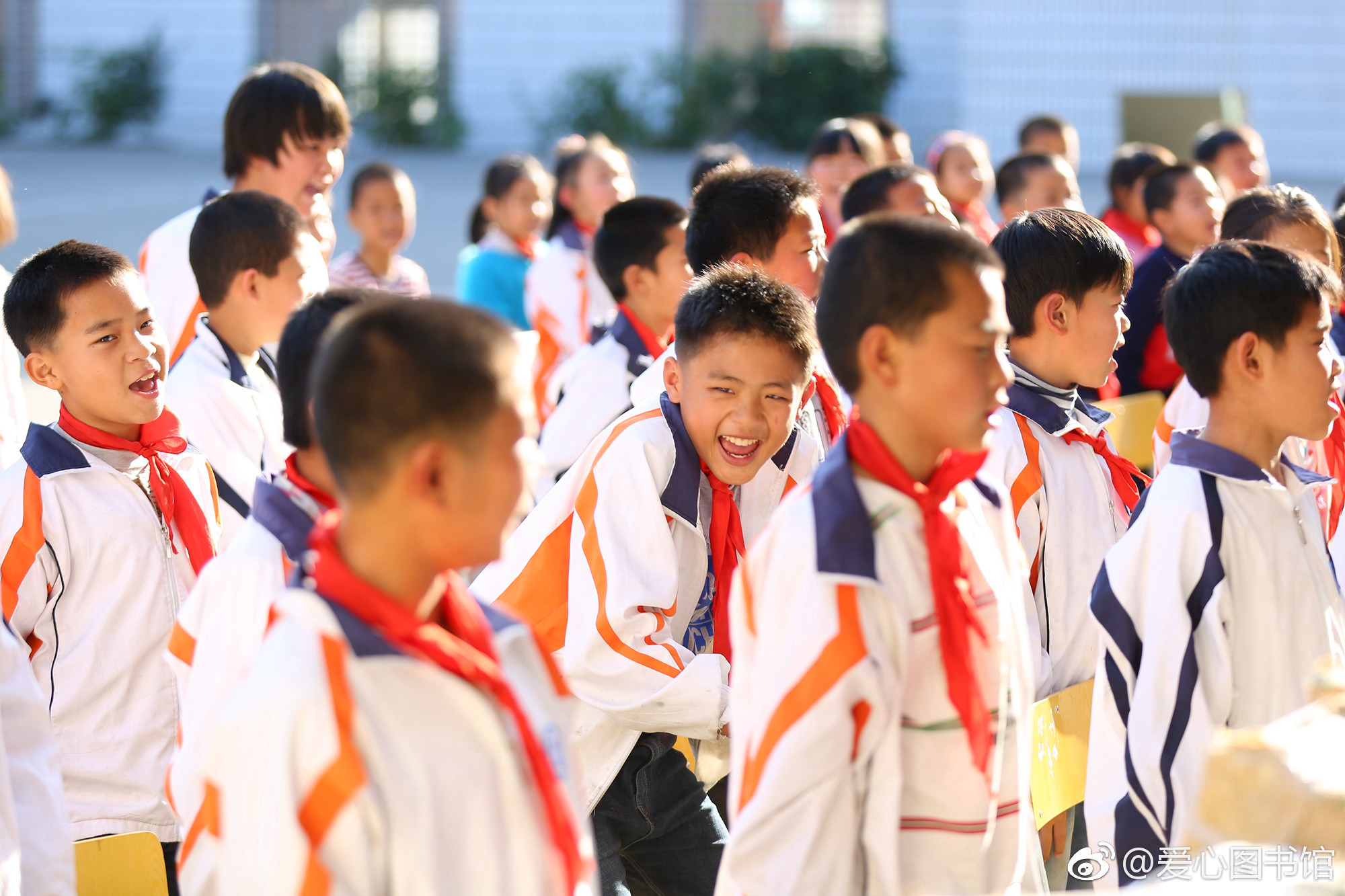 小海豚爱心图书馆孩子们的灿烂微笑