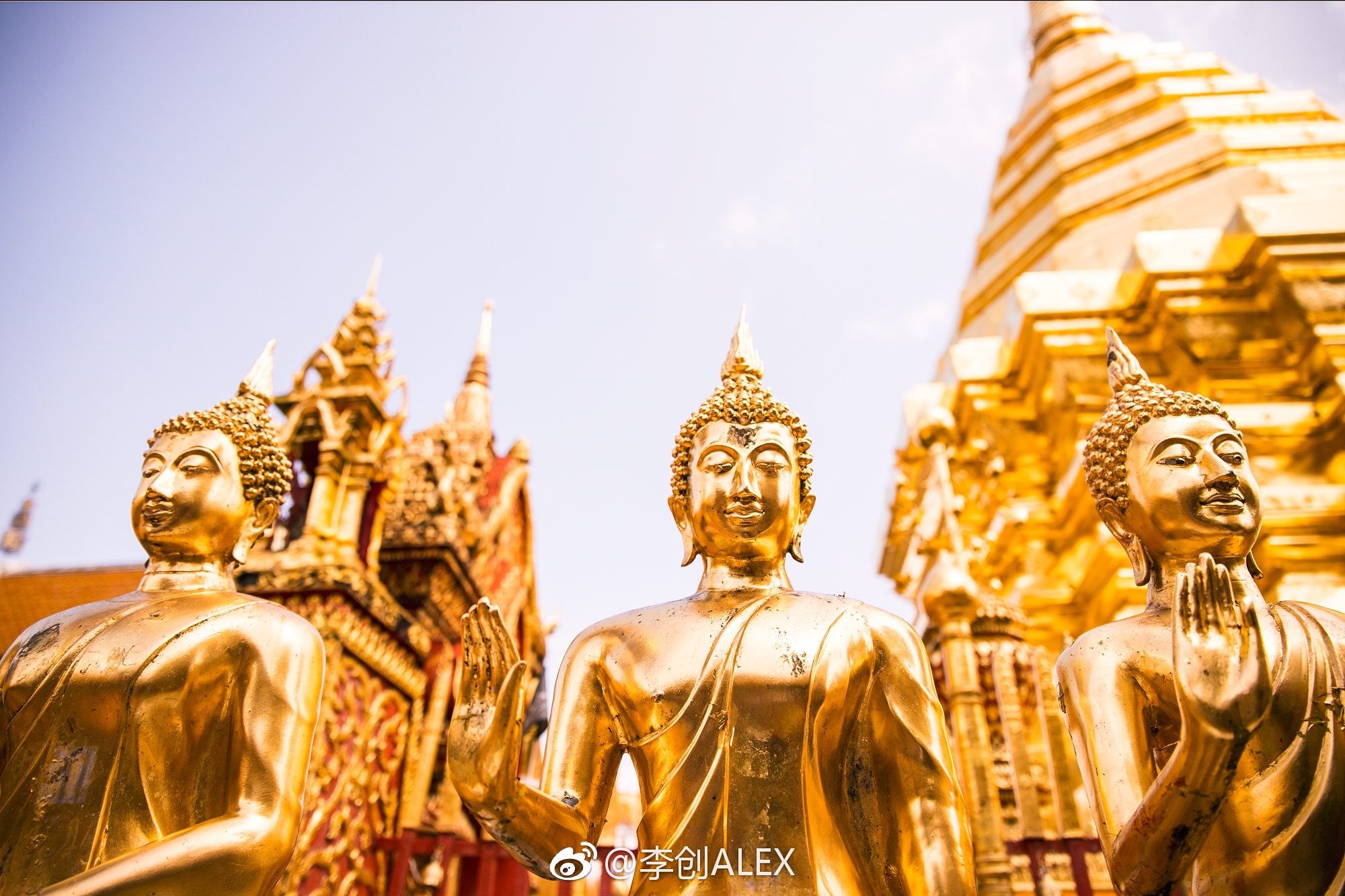泰国最金碧辉煌的寺庙~清迈双龙寺_新浪新闻