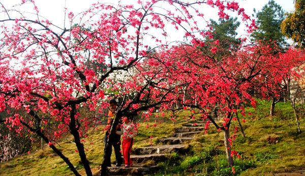 桃红碧波连沧海,人间仙境巴楚源——世外桃源