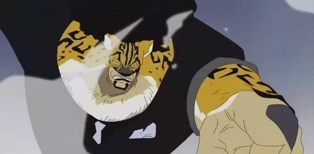 罗布·路奇———————猫猫果实(豹型)黄猿黄猿