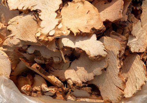 9种专治痛风的中草药材就算不痛了也要常吃