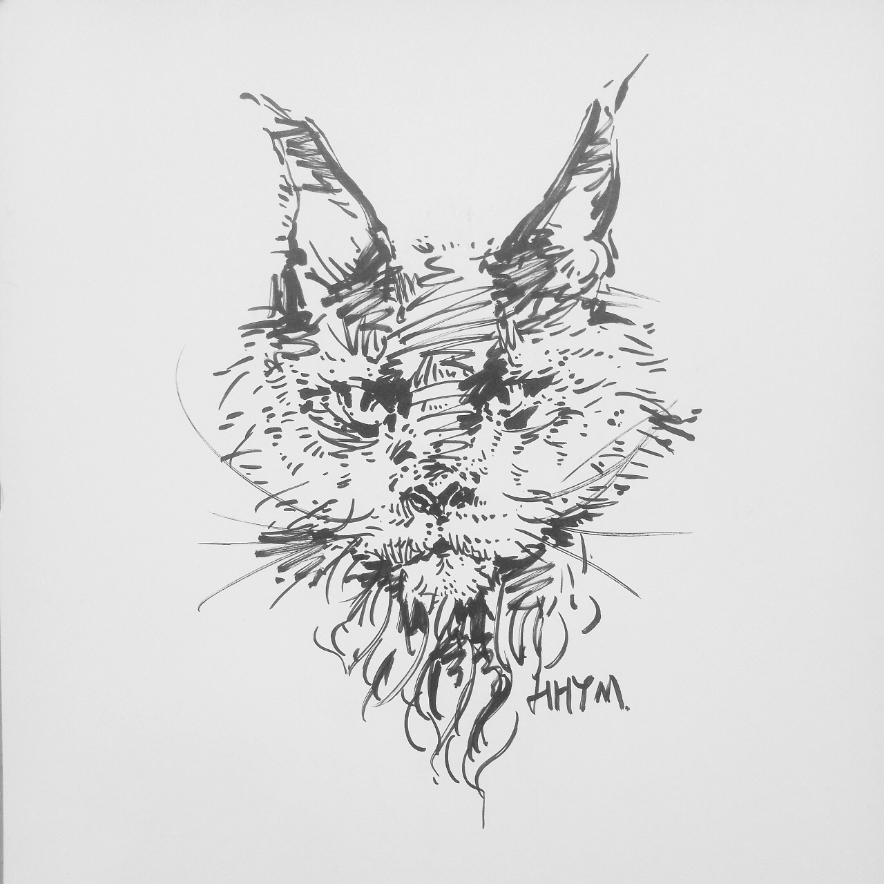 线性速写野生动物