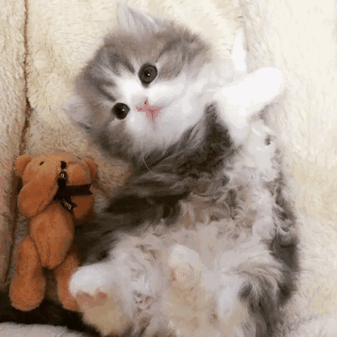 480_480gif 动态图 动图