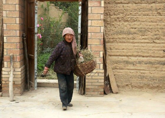 80岁孤独农村老奶奶,每天出门铲杂草,只为晒干当柴烧