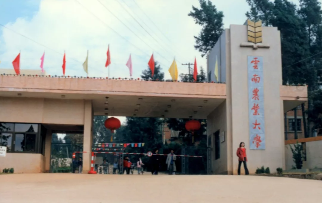 云南农业大学|农大|校庆_新浪新闻