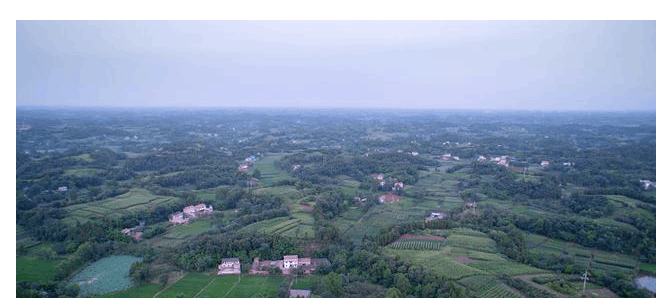 简阳seo优化知识