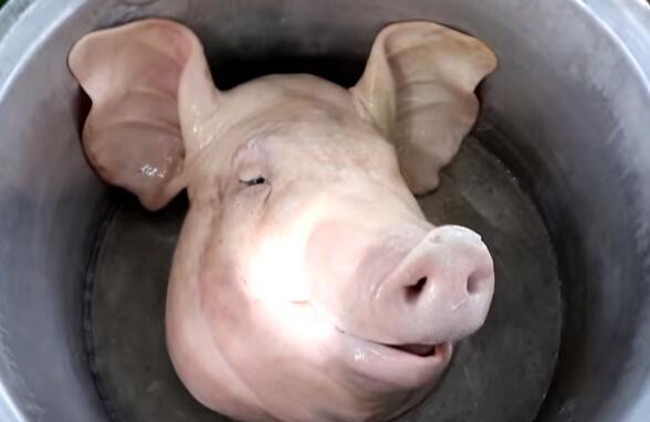 女子把整个猪头扔锅里煮, 婆婆说她浪费, 几小时后营养又好吃