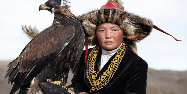 这雕好帅, 养只大雕好打猎