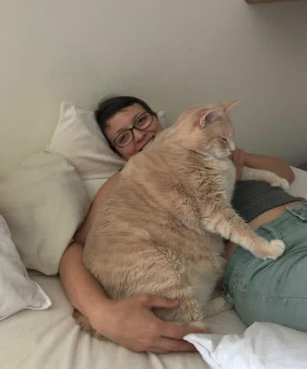 国外一猫咪因太胖而爆红,体重高达15公斤,网友:现实版加菲猫