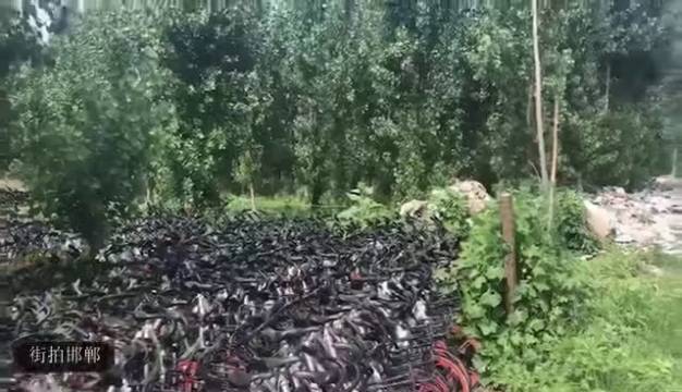 邯郸身边事 邯郸也有抖音同款网红隐秘酒吧啦