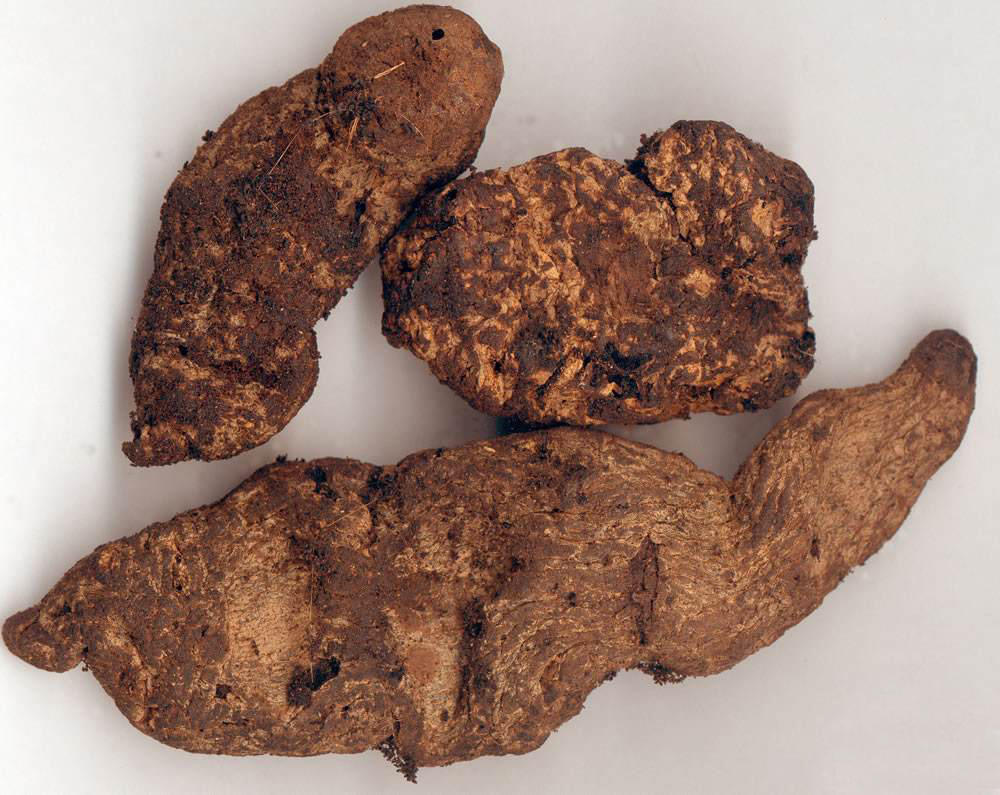 农村野外一种野草,根长得像"苕",如今9元一斤成稀罕货|地黄|野草|农村