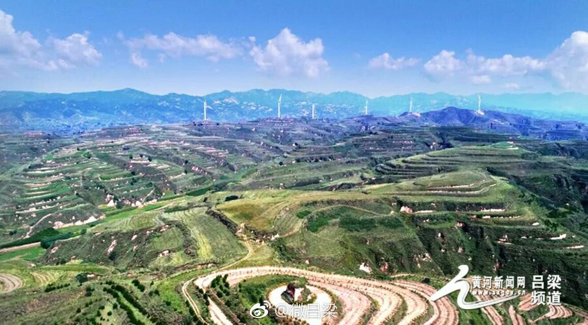 昔日荒山披绿装 岚县生态环境持续改善|岚县|荒山|生态环境_新浪新闻