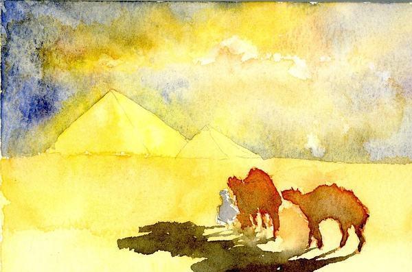 每日推荐之牧羊少年奇幻之旅