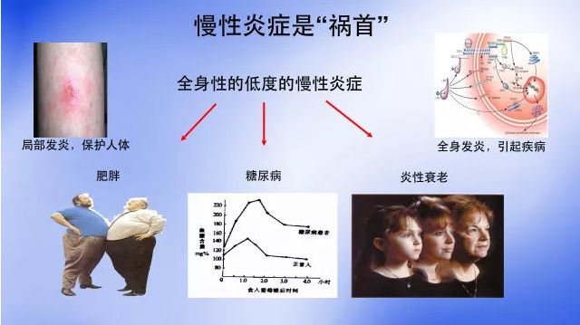 为何糖尿病并发症,总是先从慢性炎症开始,如何有效调理!