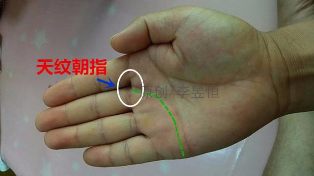 手相入门(之一）:天地人三才纹的意义|手相|断掌纹|天人合一_新浪新闻