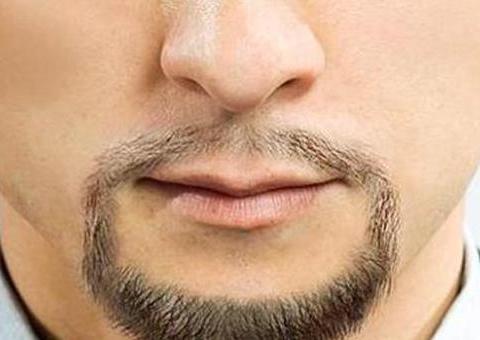 胡须形状透露男人性力量,你的胡子够猛吗?|胡须|胡子|功能_新浪新闻