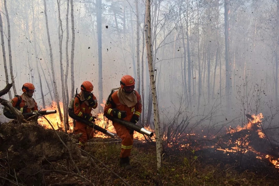 感人!直击大凉山森林灭火:新兵经历惊心动魄的火场瞬间
