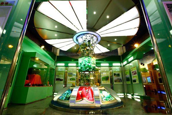 穿过大街小巷之后,我们来到了大兴的庞各庄——西瓜博物馆的所在地