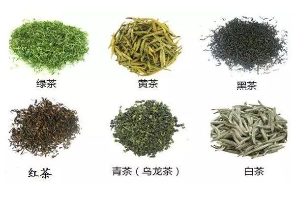 茶常识,简谈六大茶类
