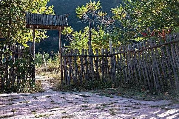 漂亮的篱笆墙想起了女人和狗