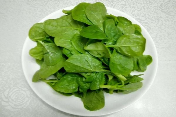 最补铁和补钙的菜就是这道菜,而且还健脑,那些是什么菜呢?