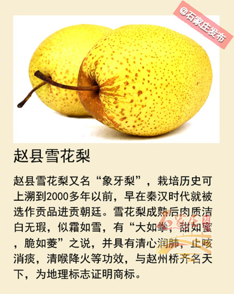 赵县三宝"桥梨寺"各个有来头!关于雪花梨的传说是这样的