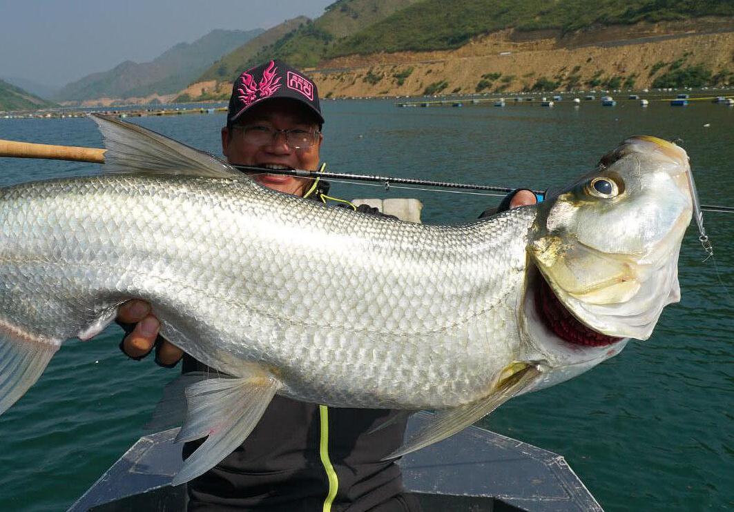 普通鱼线钩出300斤大旗鱼网友这得吃几顿啊