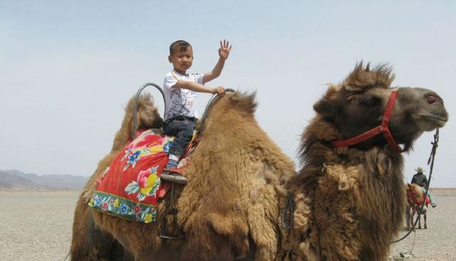 他十一岁参加《超级演说家》,会四国语言,如今生活成这样|杜兆泽|超级