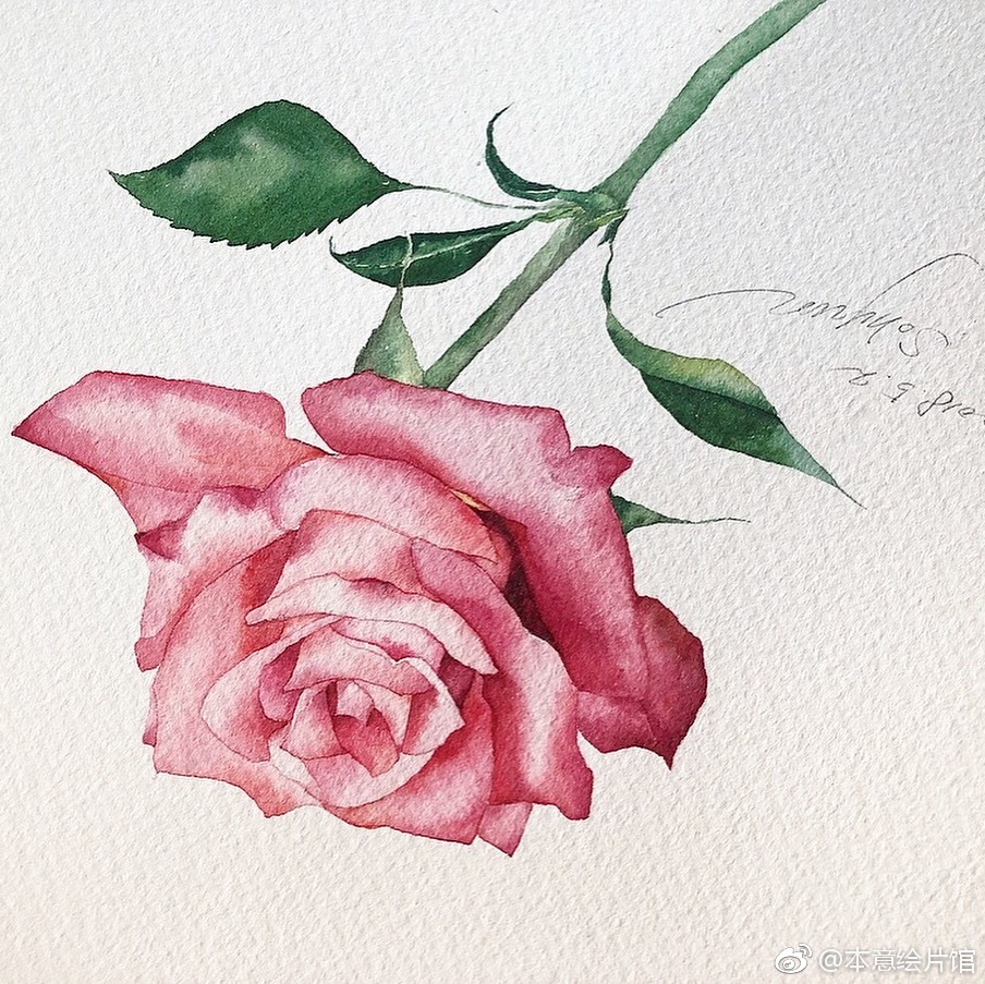 韩式水彩花卉作品欣赏insveryhyun7