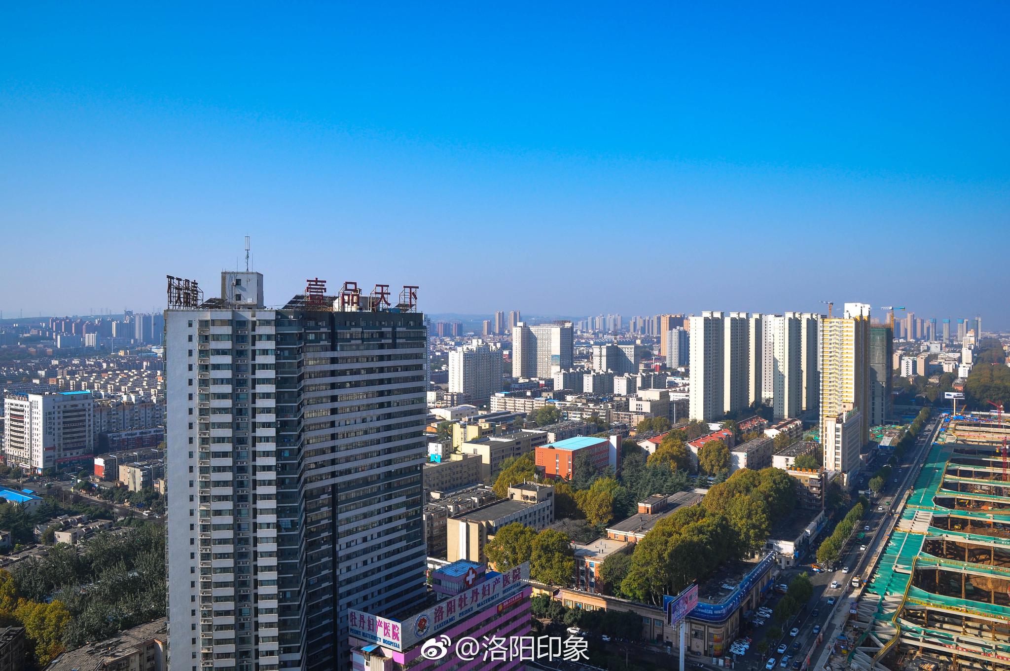 冬日牡丹广场|洛阳|广场|牡丹_新浪网