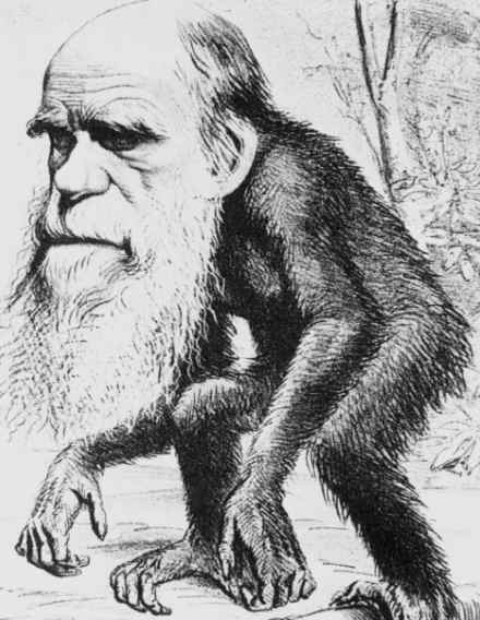 身高3米体重达600斤的物种,或是人类祖先,其以竹子为生