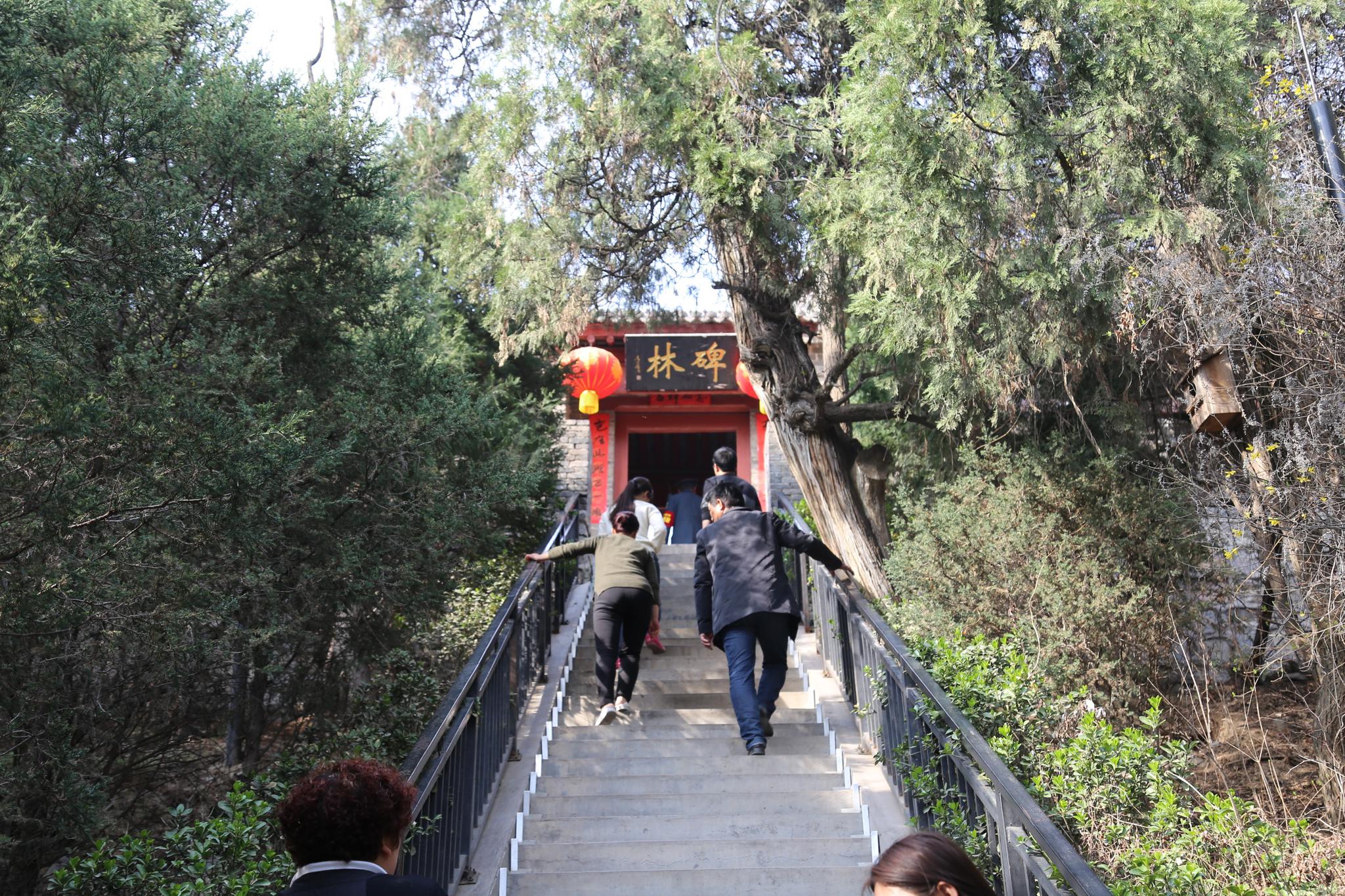 清明踏春耀州好风光 "药王"故里多彩气自华|药王山|纪念馆|孙思邈